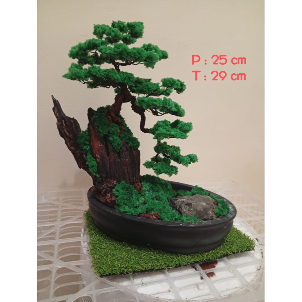 bonsai_miniatur