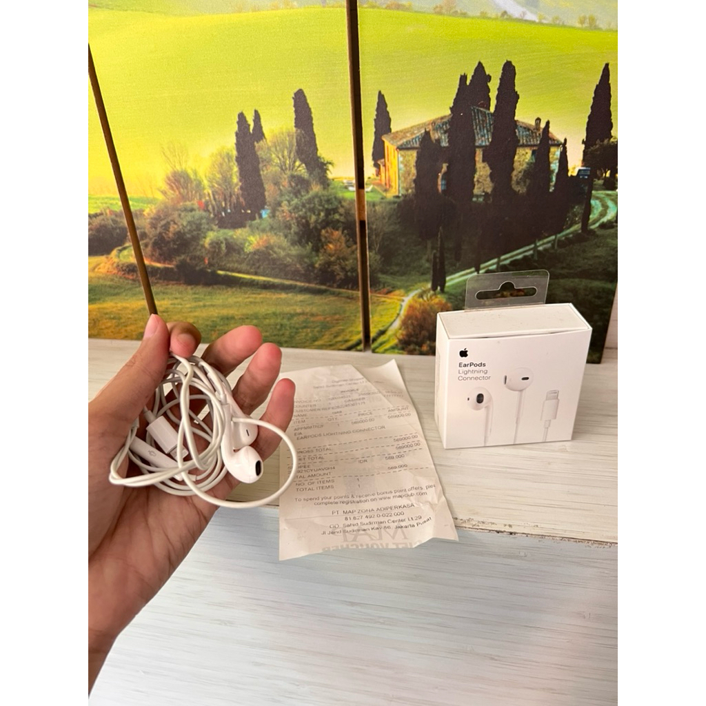 Apple Earphone ORIGINAL IBOX