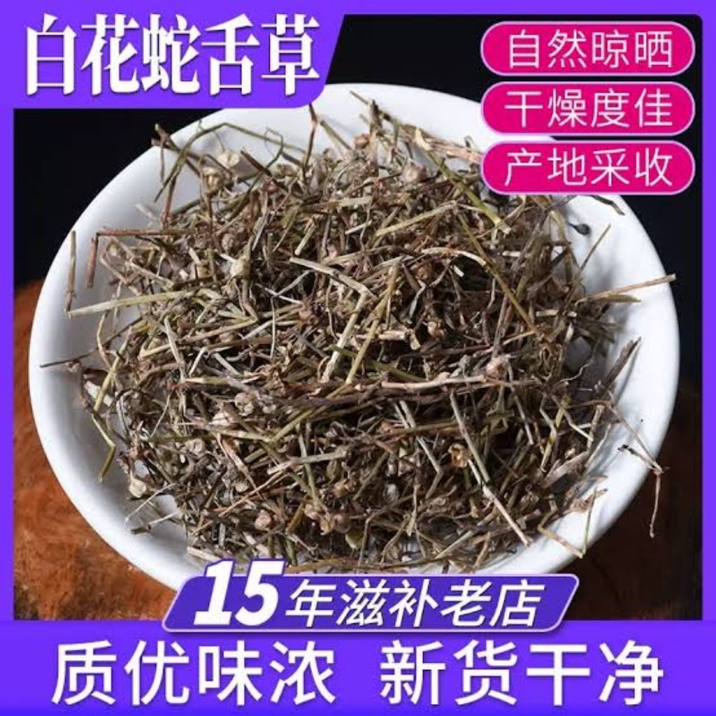 

100gr 白花蛇草 Bai Hua She Cao Hedyotis Diffusa Rumput lidah ular