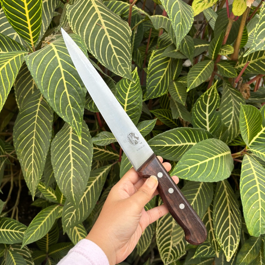 Pisau Victorinox Cap Payung 22cm