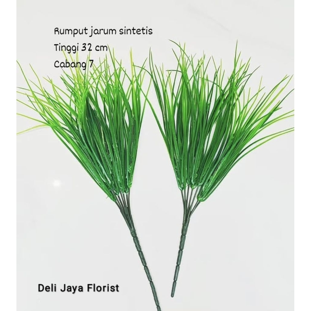 Rumput Jarum sintesis
