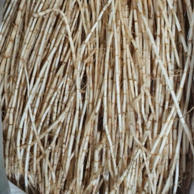 

Akar Alang Alang Segar Herbal Per 1Kg Harga Glosir