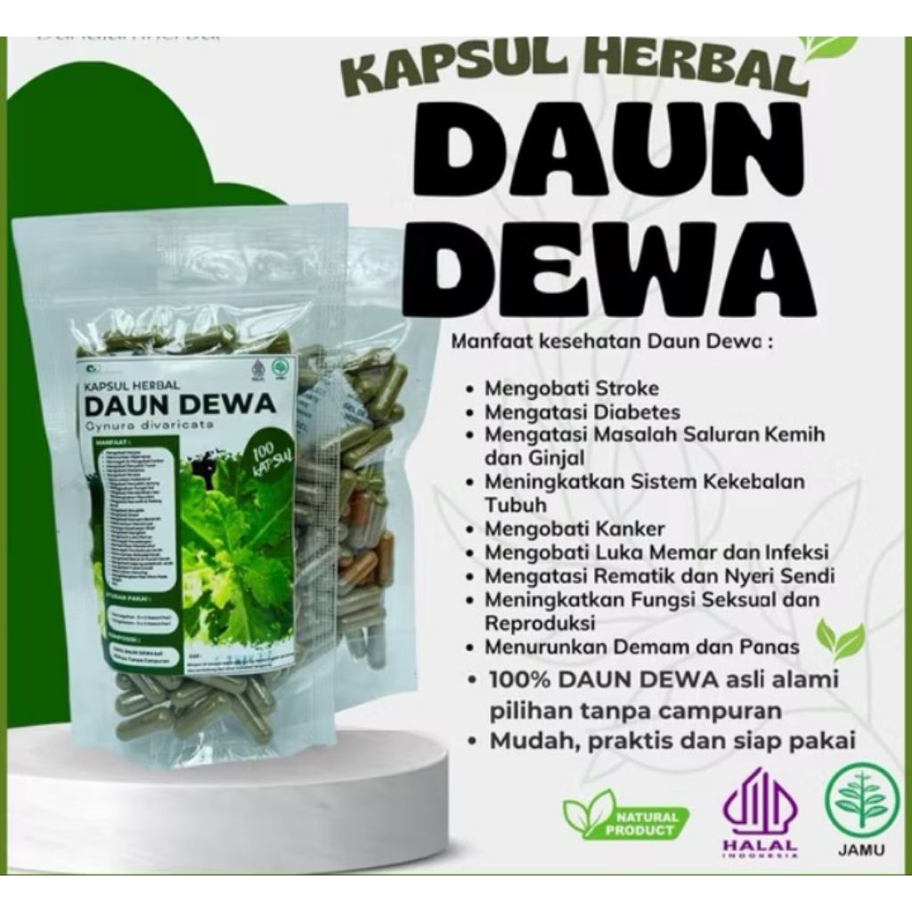 

kapsul daun dewa 1pack isi 100butir/daun dewa kapsul 100butir
