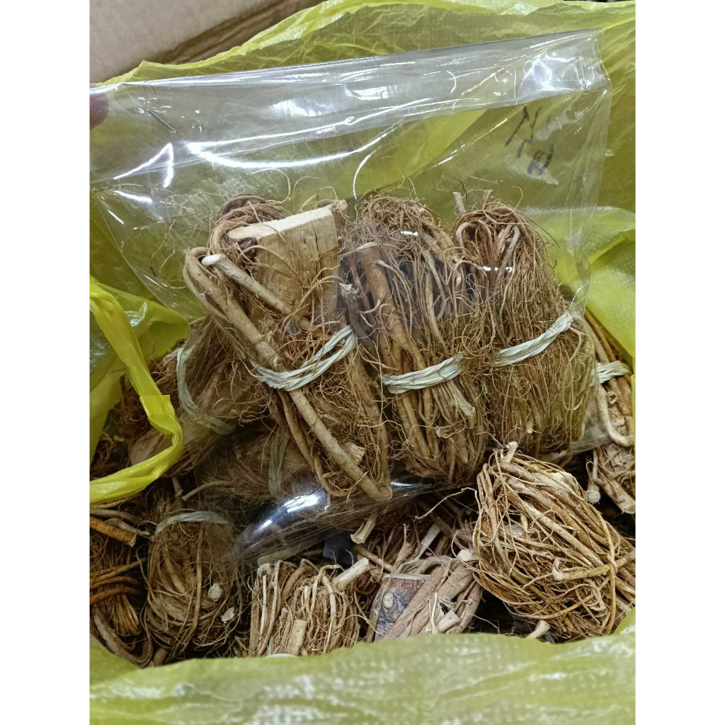 

Wu Zhi Mao Tao /Hispid Fig Root/ Ficus Hirta Hairy Fig Root/Persik 5 jari