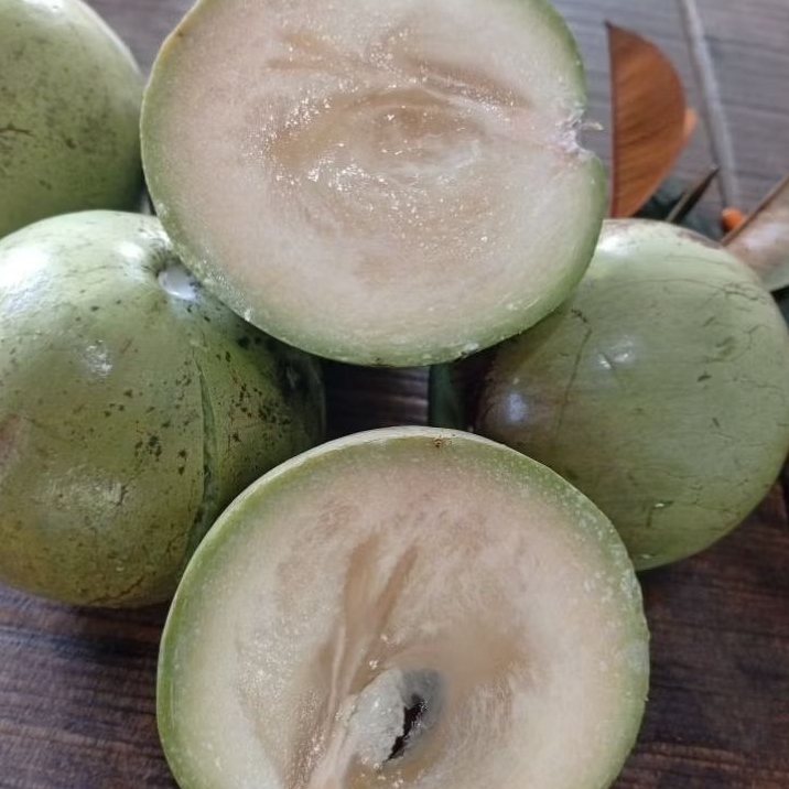 

SAWO DUREN / DUREN SAWO, SAWO SUSU SAWO PUTIH