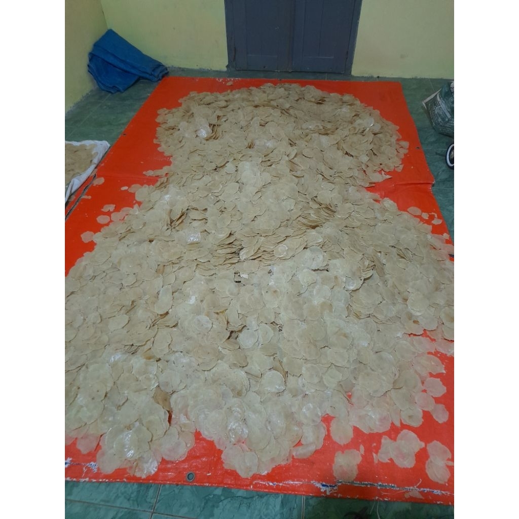 

MURAH, 1/2 KG EMPING MELINJO MENTAH KERING, SIAP GORENG