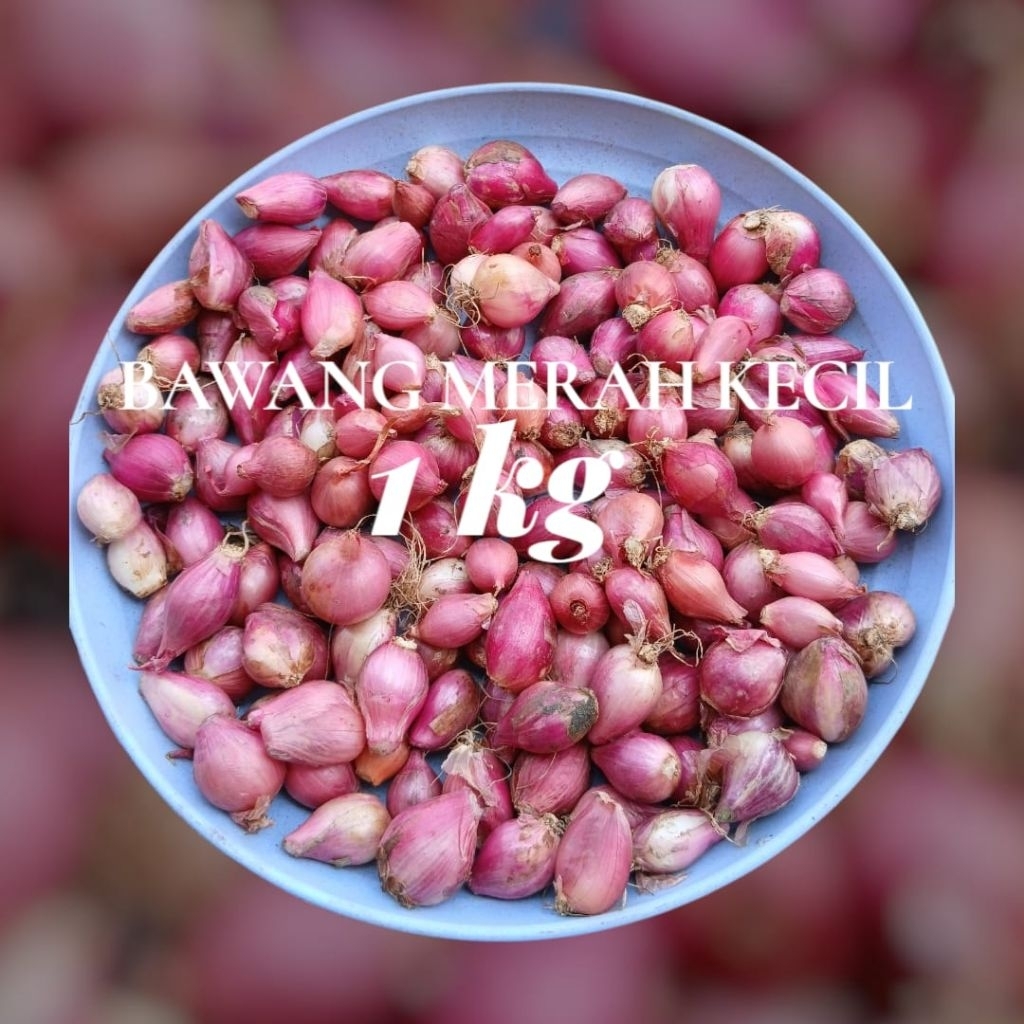 

Bawang merah 1kg Ukuran Kecil halus Mini asli dari Garut bamer garut segar fresh