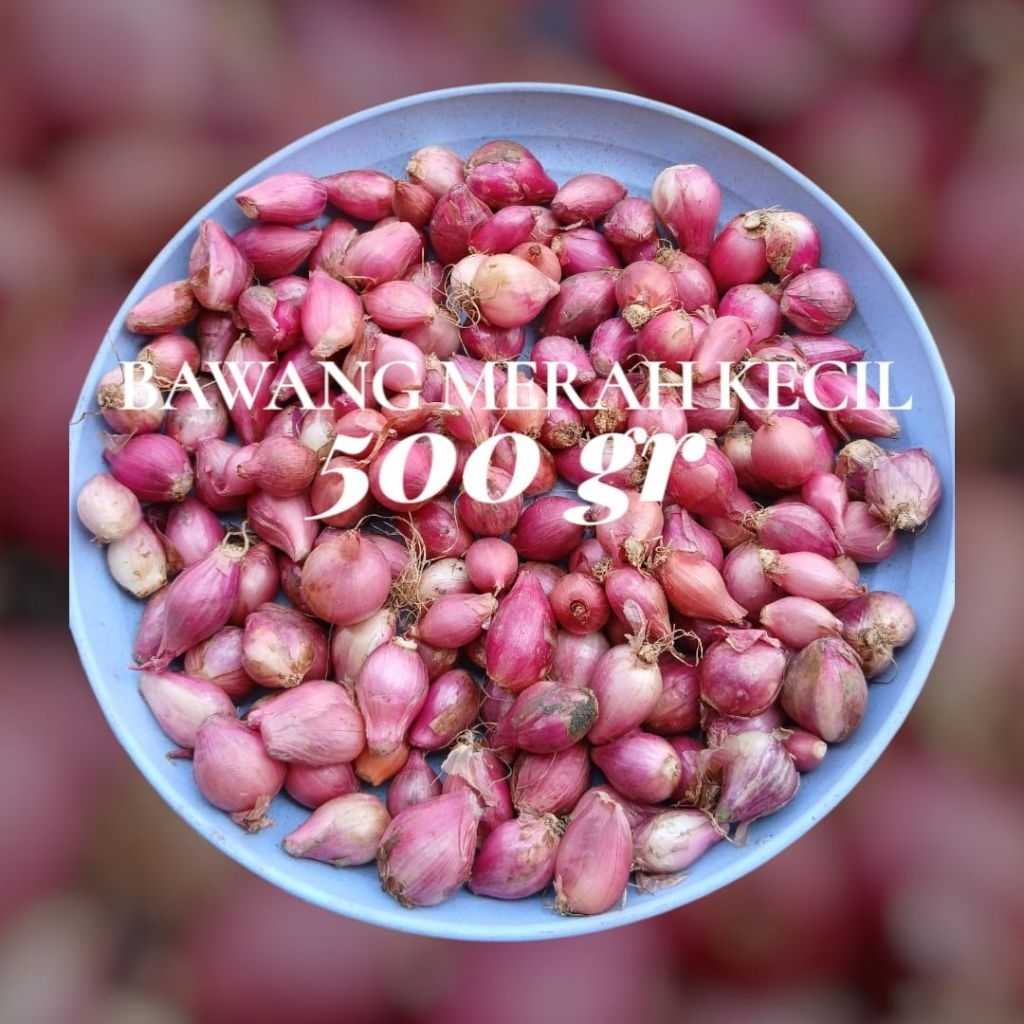 

Bawang merah KECIL 500gr bawang garut asli dari petani garut