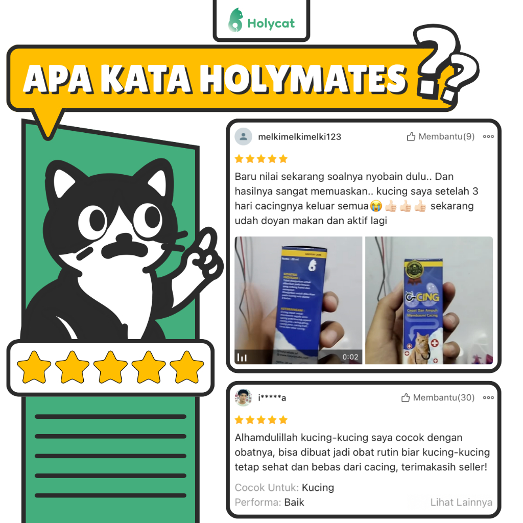 READY Holycatlabs obat cacing ocing untuk kucing cacingan kitten dewasa ampuh