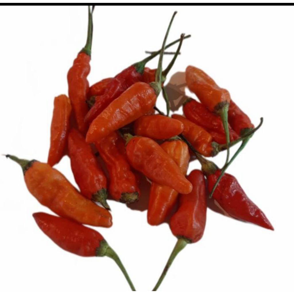 

Cabe Rawit merah 250gram