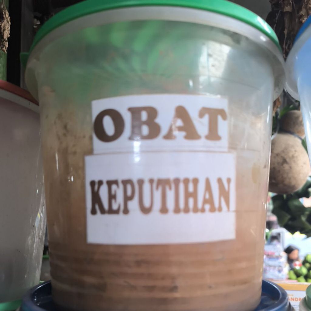 Obat Herbal Keputihan