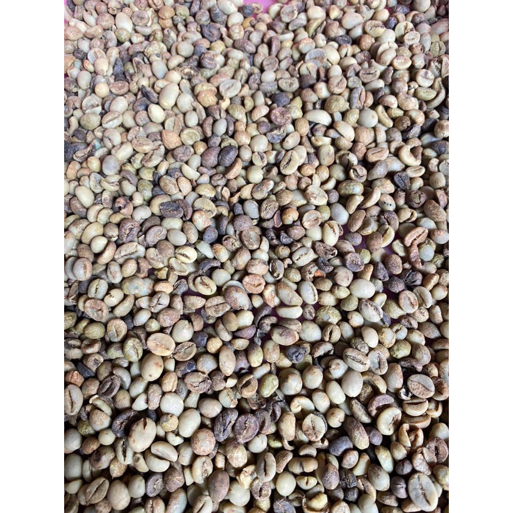 

Biji kopi Robusta (ASALAN) Lampung Barat (way tenong) 1kg