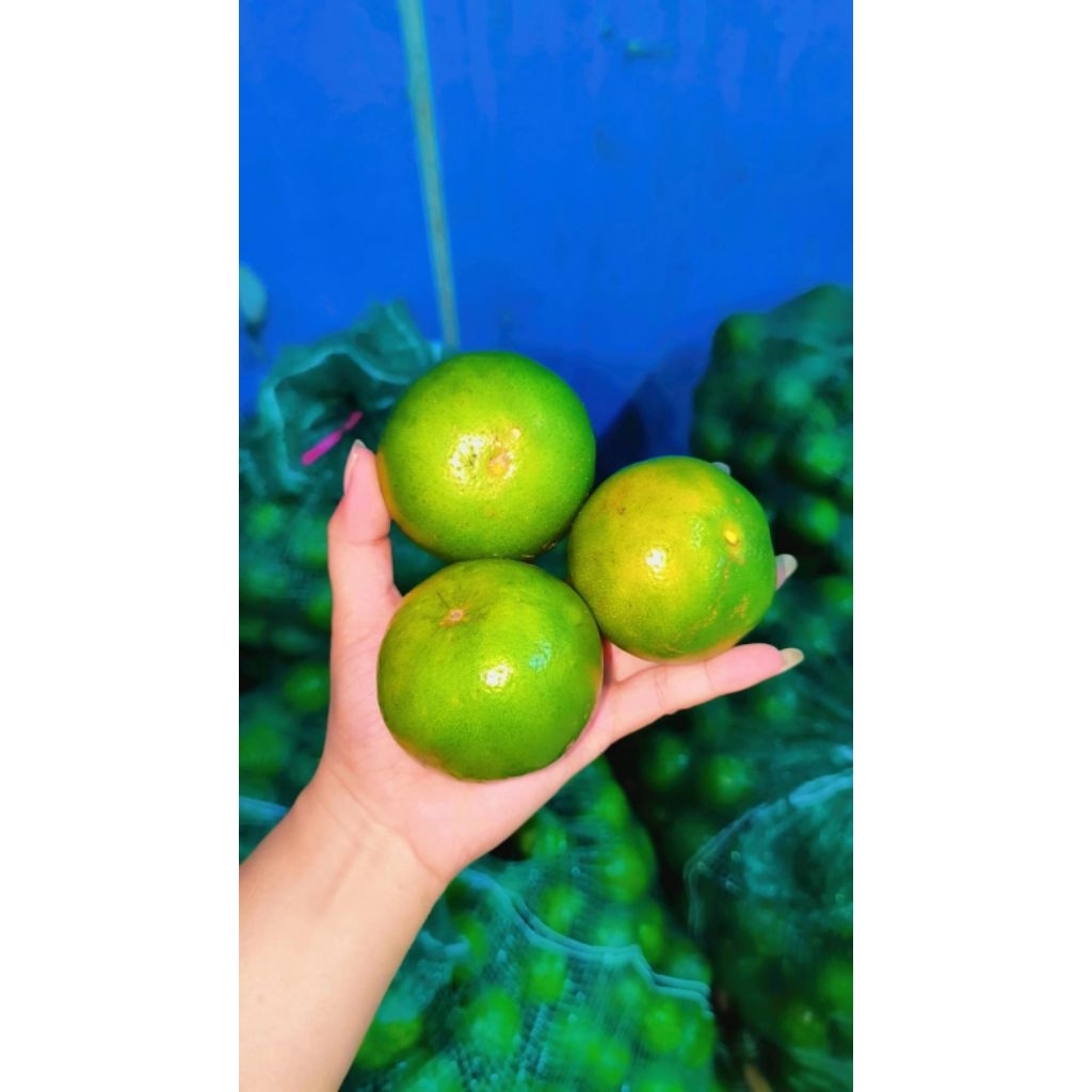 

jeruk peras super presh 1kg