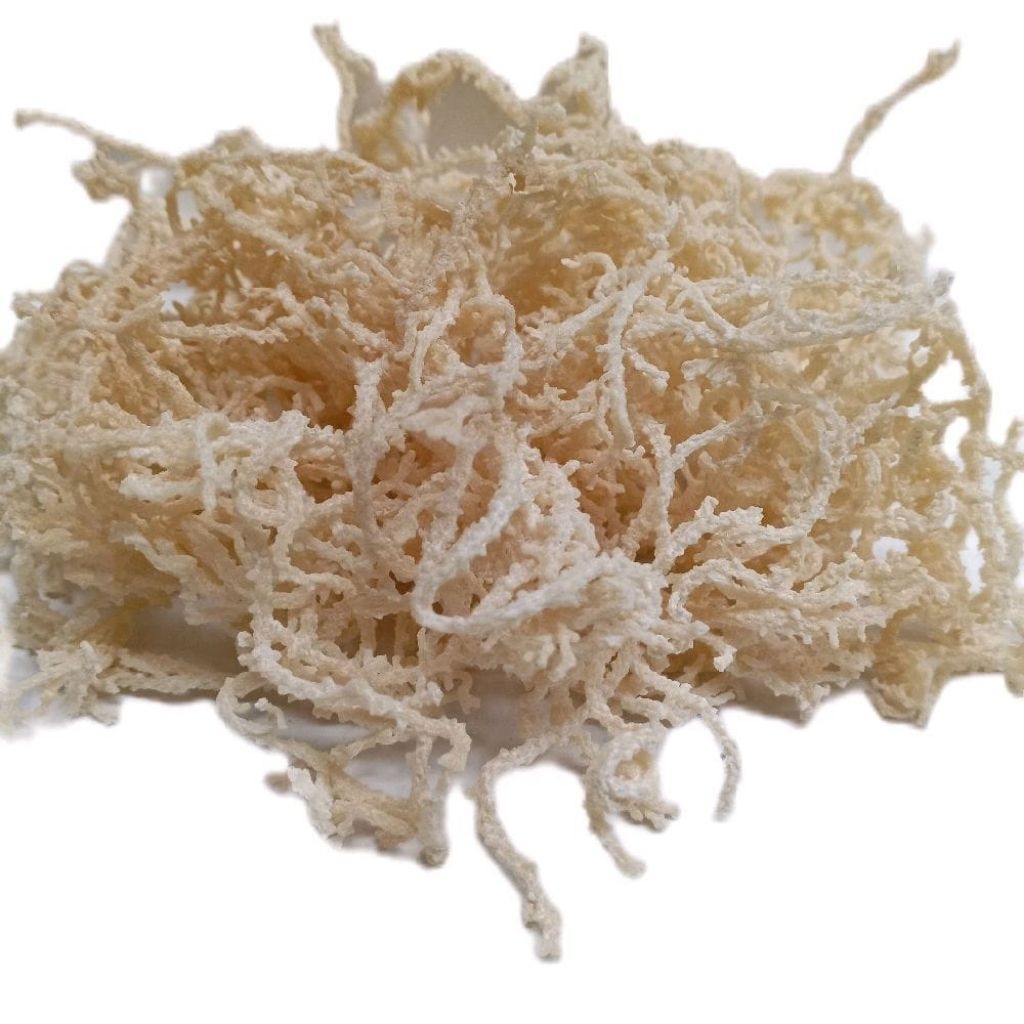 

Rumput Laut Kering Untuk es Campur Dan es Buah 5kg