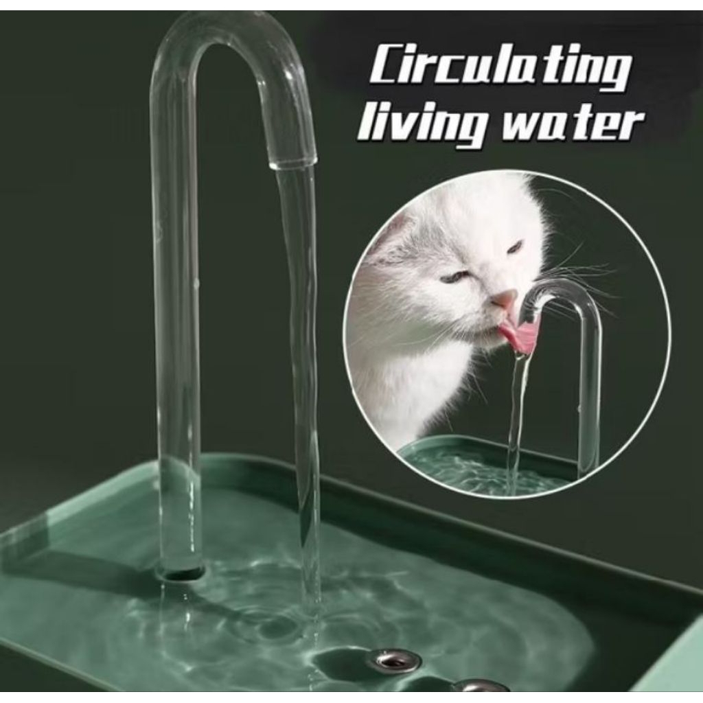 Water Fountain Kucing