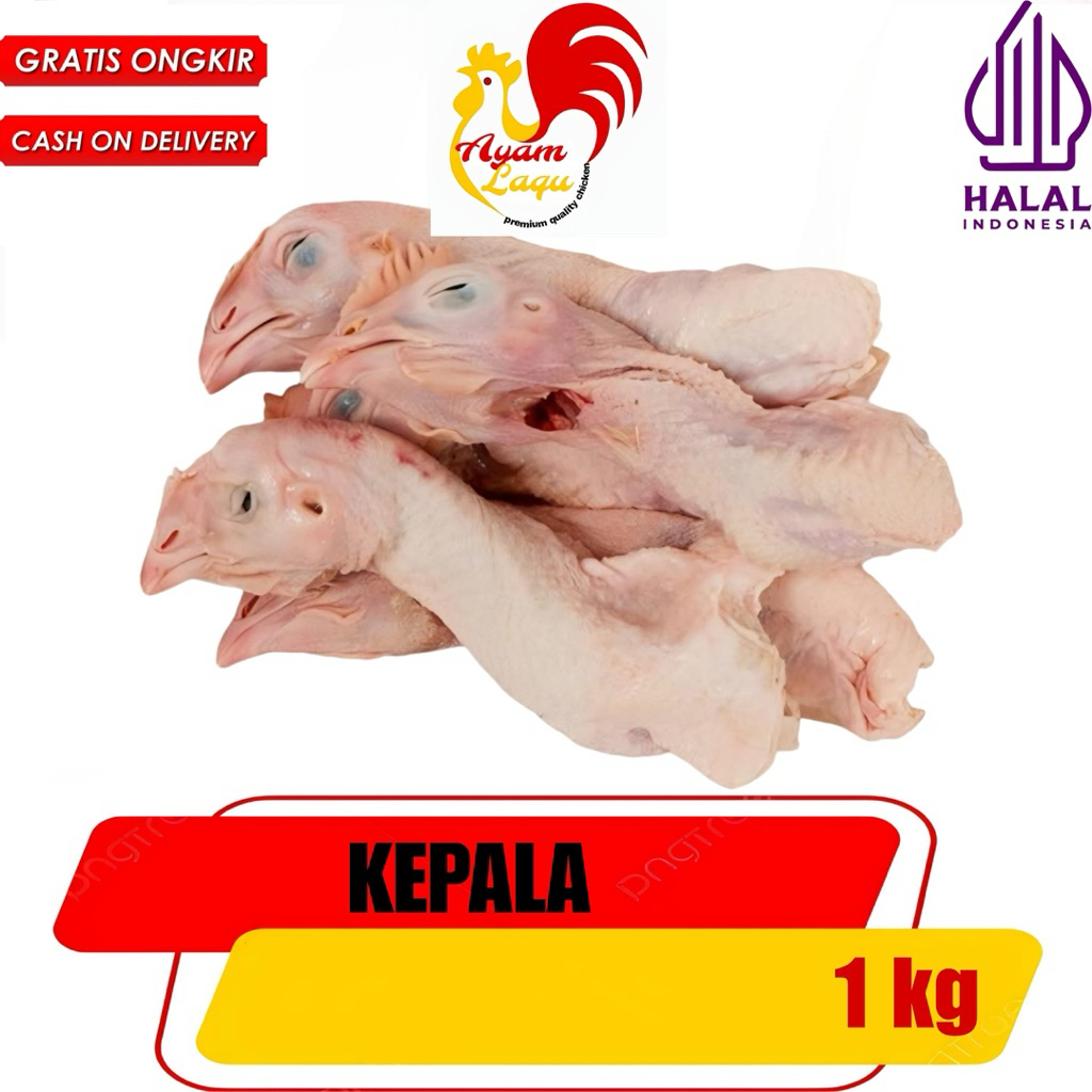 

KEPALA AYAM MENTAH FRESH SEGAR TERMURAH SUPPLIER AYAM