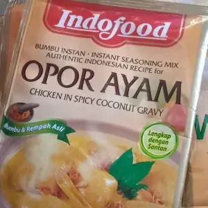 

Indo food opor ayam