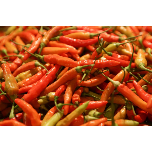 

Cabe rawit merah | JBP_Fresh