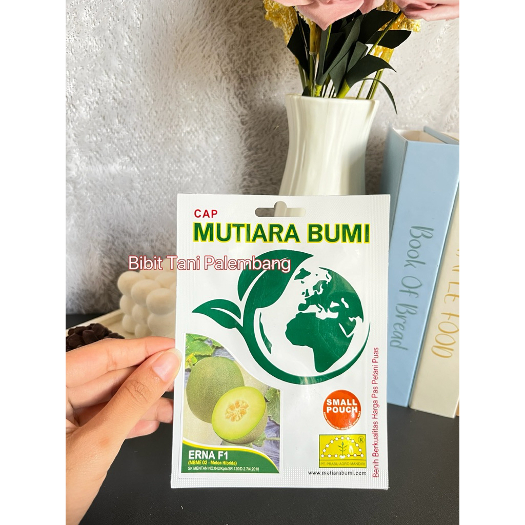 Benih Melon Erna F1