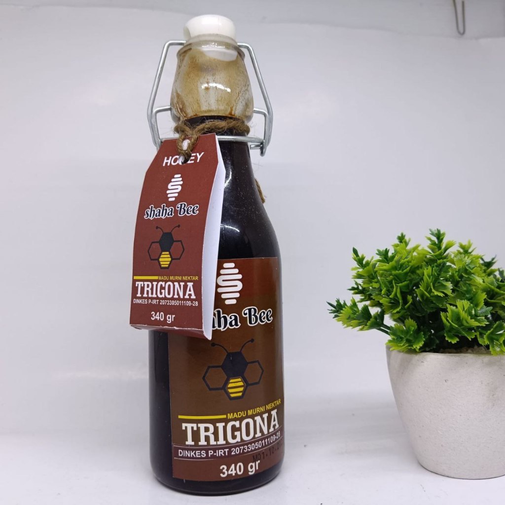 

Madu Trigona Klanceng Asli Original Murni Shahabee 340gr 100% Lolos Uji Lab