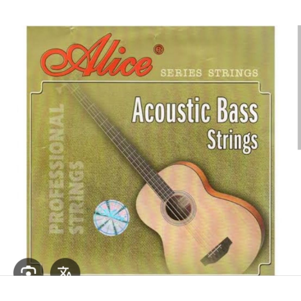 Senar Bass Akustik Alice A 616
