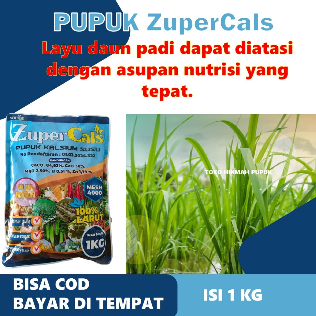 Zupercals Obat Padi Daun Kuning, Kerdil, Kresek & Layu – Pupuk Cair Organik Untuk Daun Sehat, Padi S