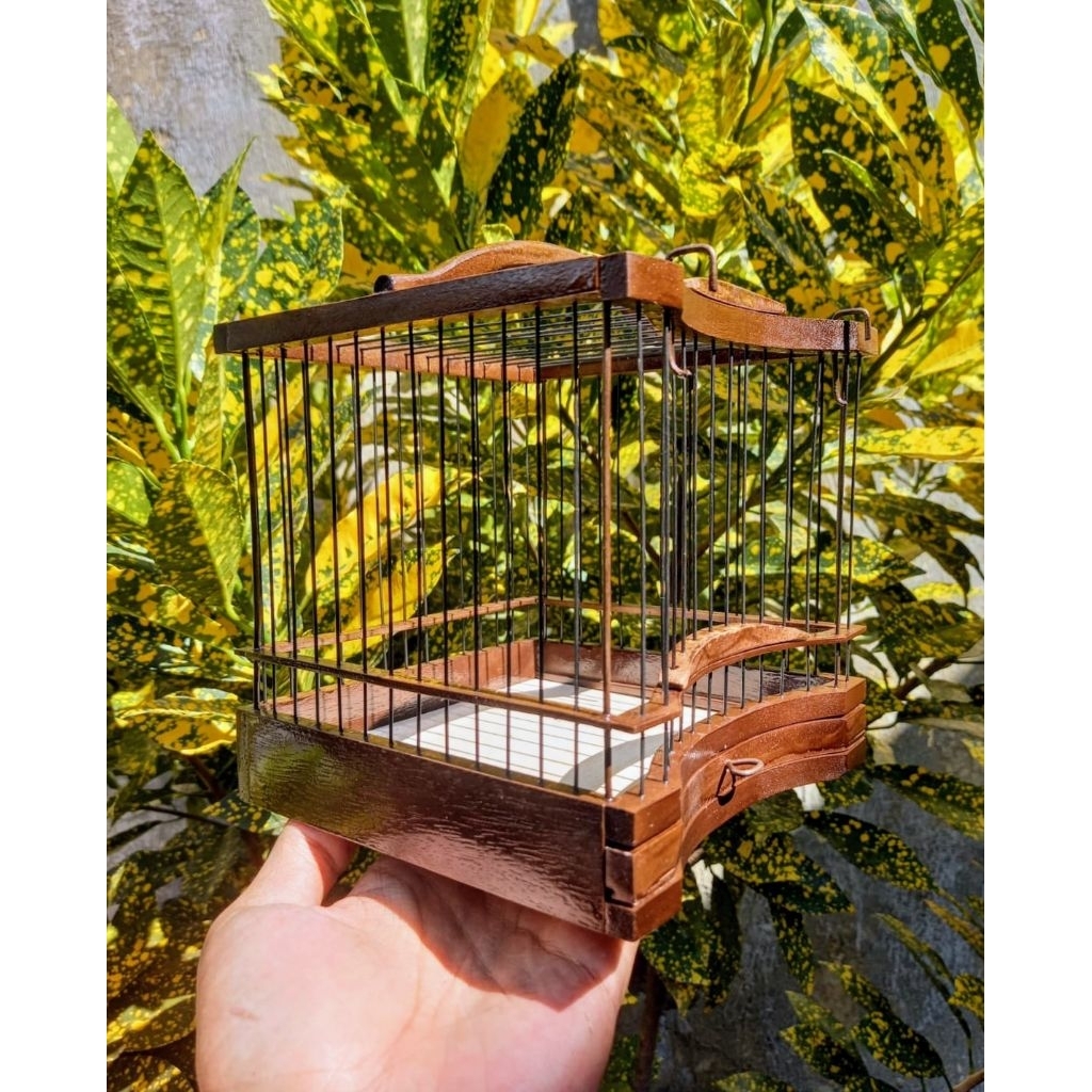 Sangkar Untulan Pleci, Sogon, Konin, DLL