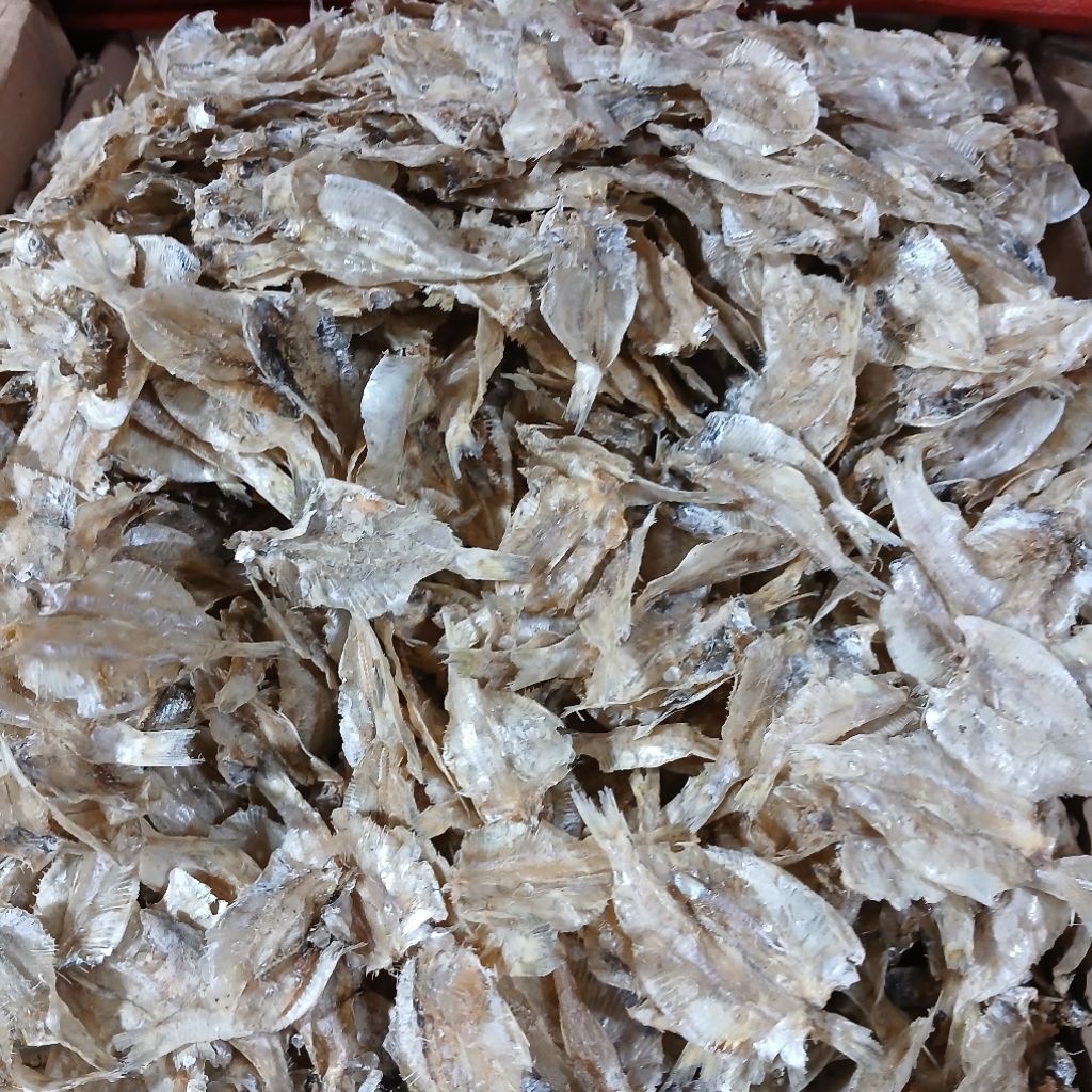 

IKAN ASIN PAKANG TAWAR / KALAPAN TIPIS 500GRAM