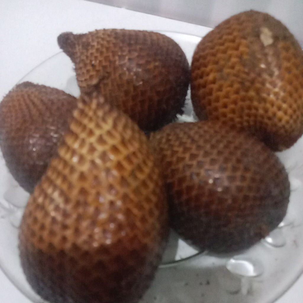 

SALAK MANGSIR PETIK POHON DIJAMIN MANIS