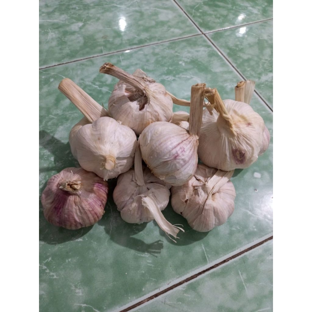 

Bawang Putih Tangkai 1kg