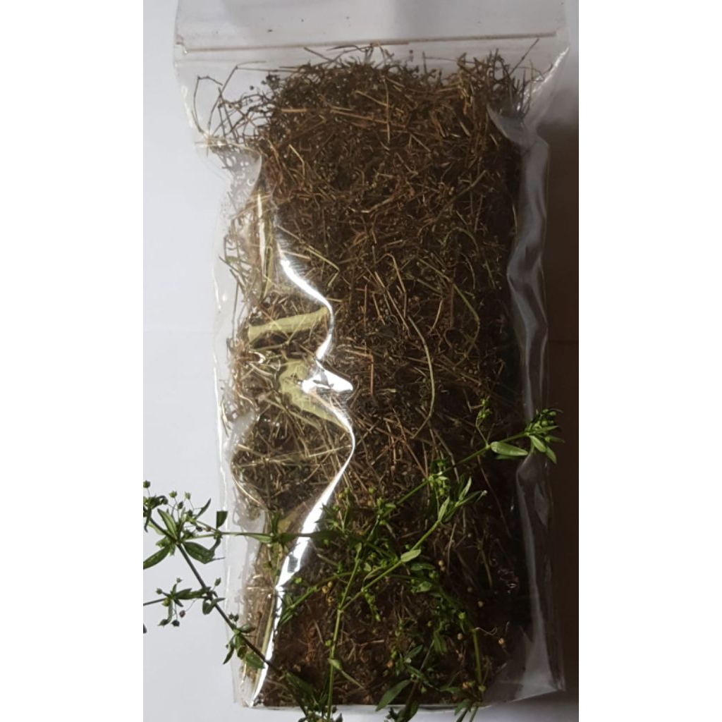 

Daun mutiara kering 250 gram obat herbal