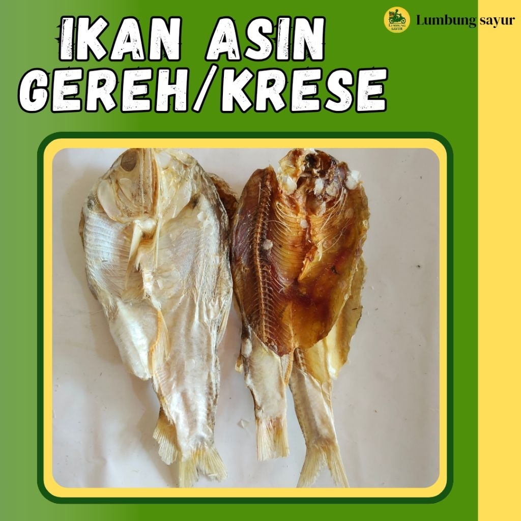 

IKAN ASIN GEREH / KRESE 250g - 1kg | FRESH, Gurih, Kriuk, Segar & Alami | Cocok untuk Aneka Masakan