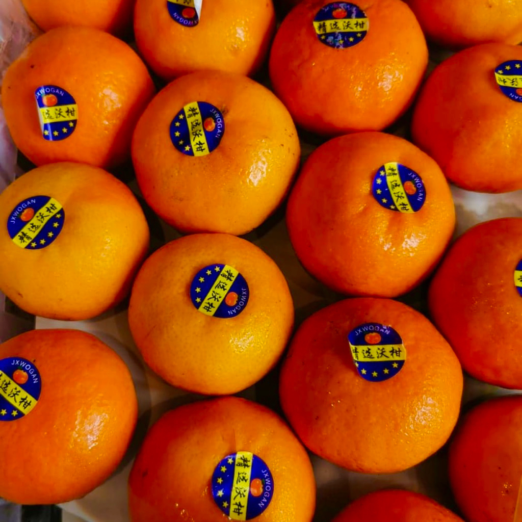 

Promo Jeruk Wogan | Jeruk Wokam Fresh Bogor 1kg