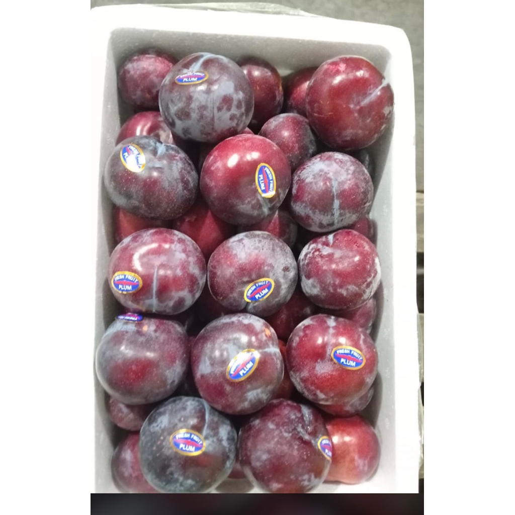 

Buah Plum red fresh / plum red end black 1 kg