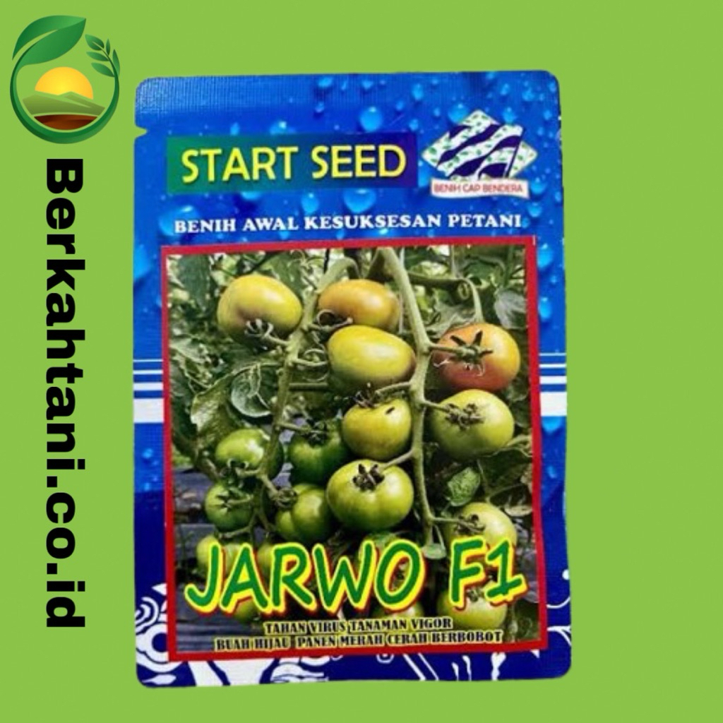BIBIT TOMAT TAHAN VIRUS ISI 1750 BUTIR JARWO F1 5 GRAM START SEED SETARA SERVO F1 CAP PANAH MERAH