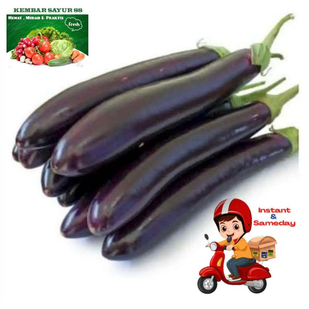 

Terong Ungu - Kembarsayur88