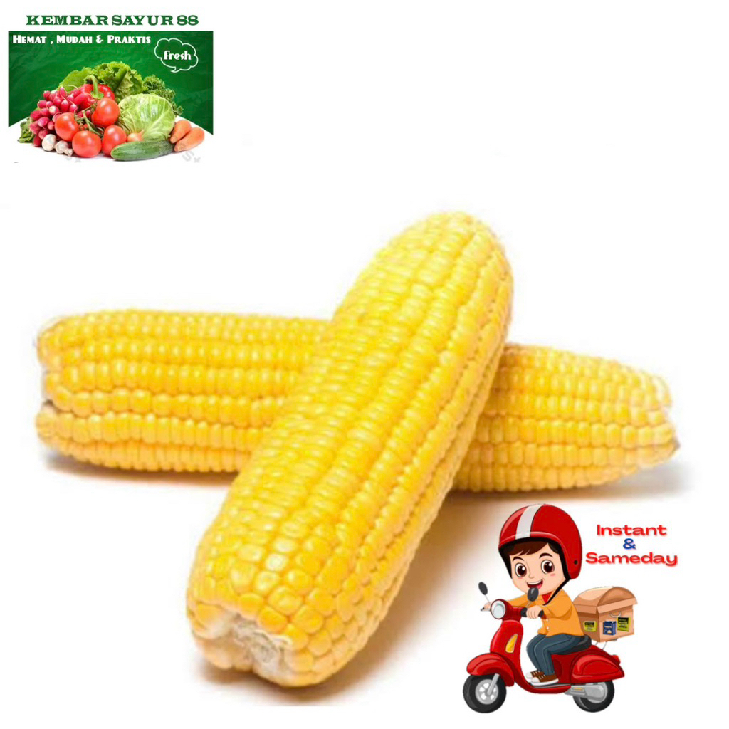 

Jagung Mans Kupas - kembarsayur