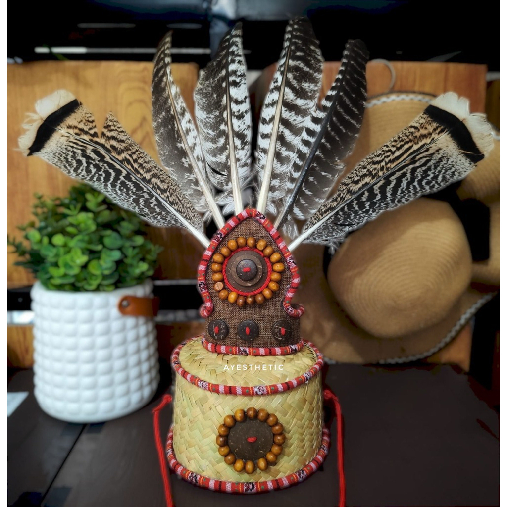 Topi kostum karnaval adat bulu suku dayak papua dengan hiasan burung