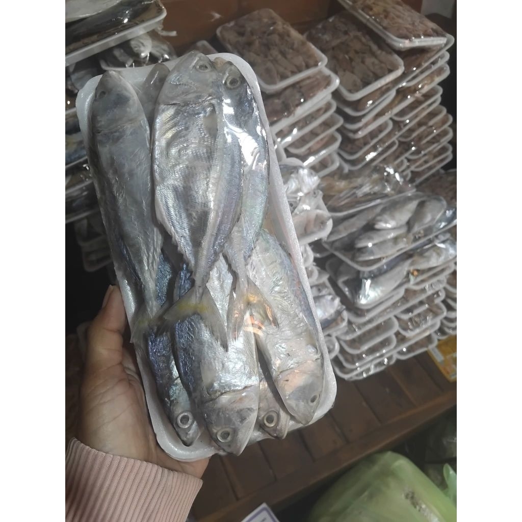 

ikan asin kering