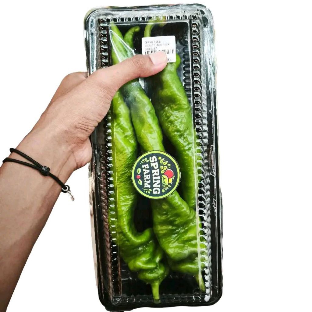 

Cabai shisito jumbo segar original lokal -+300 gram