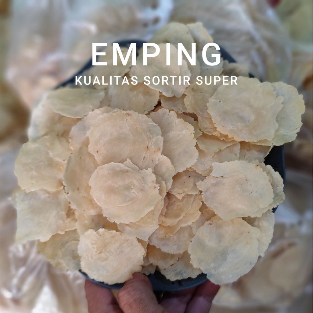 

EMPING MELINJO ASLI BIJI TANGKIL MELINJO