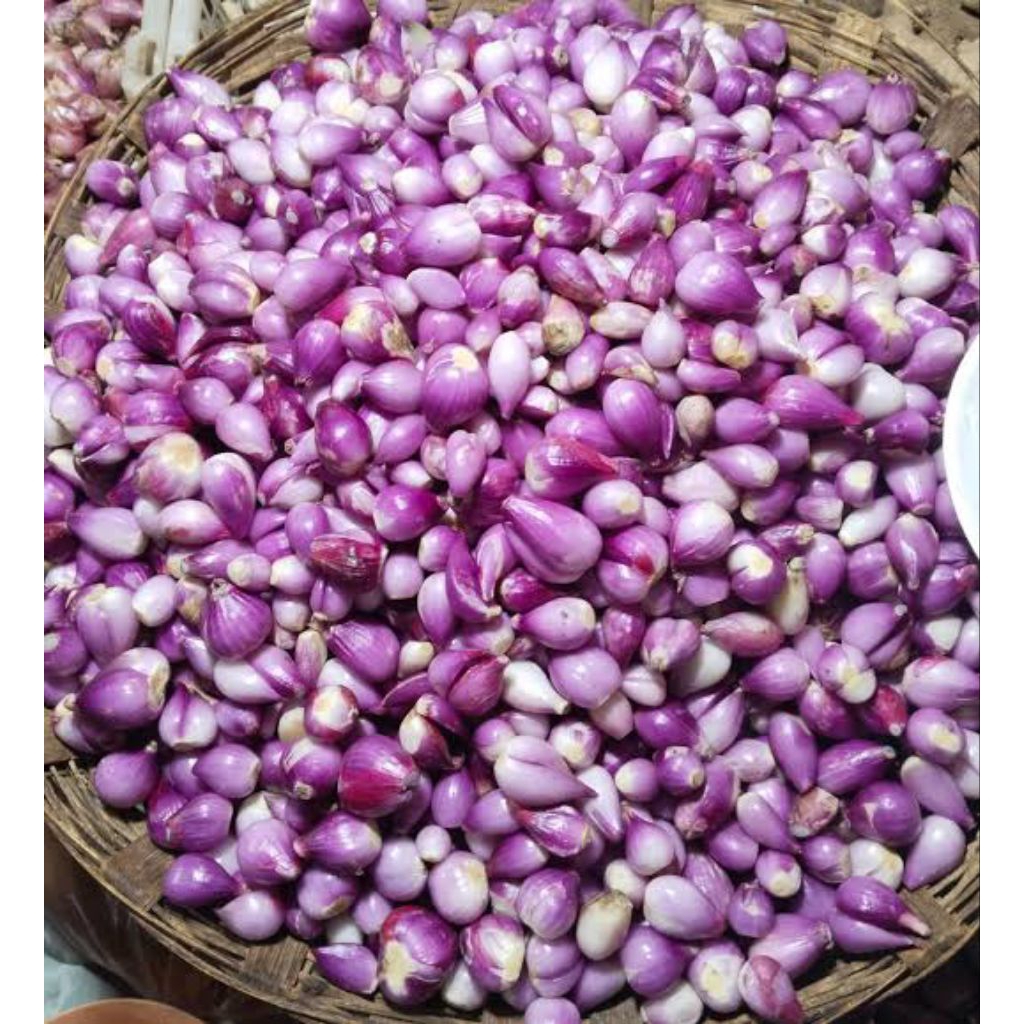 

BAWANG MERAH KUPAS FRESH Langsung praktis Siap Masak Fresh pengupasan