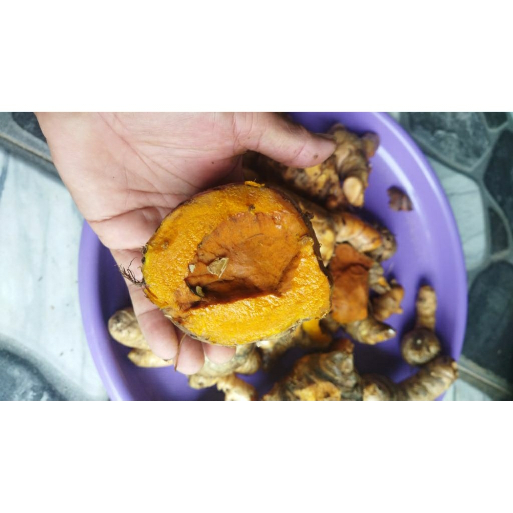 

1kg temulawak segar /koneng/obat lambung/obat magh/herbal