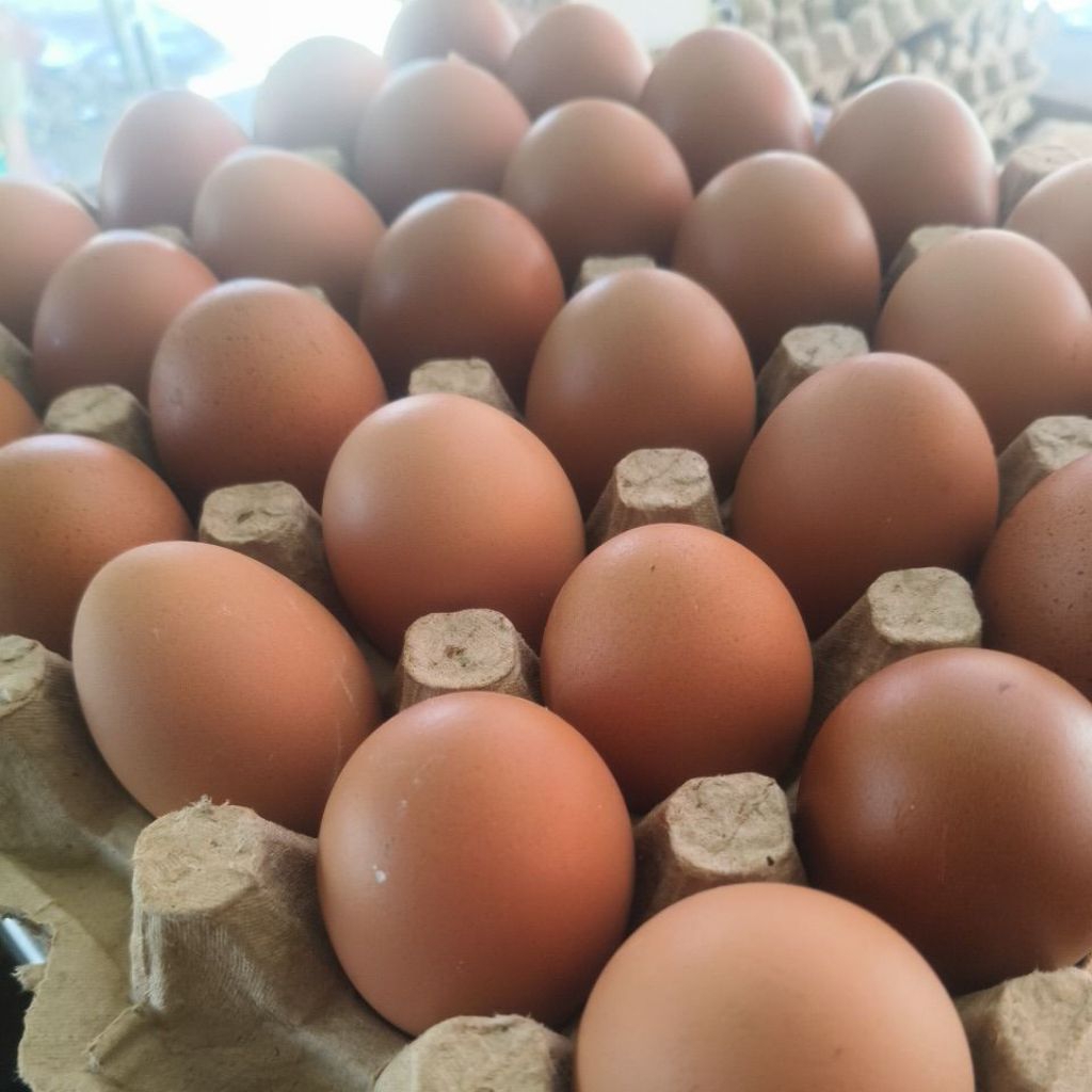

telur ayam negri lokal fresh(30butir)