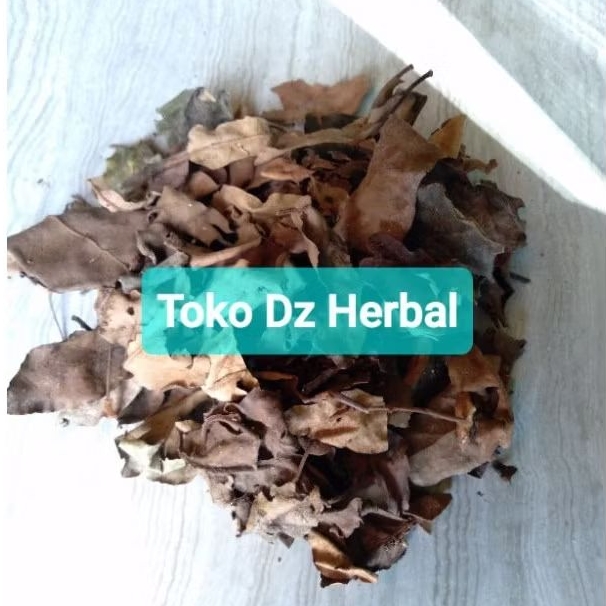 

Benalu kopi kering daun benalu kopi kering 250 gram asli-az