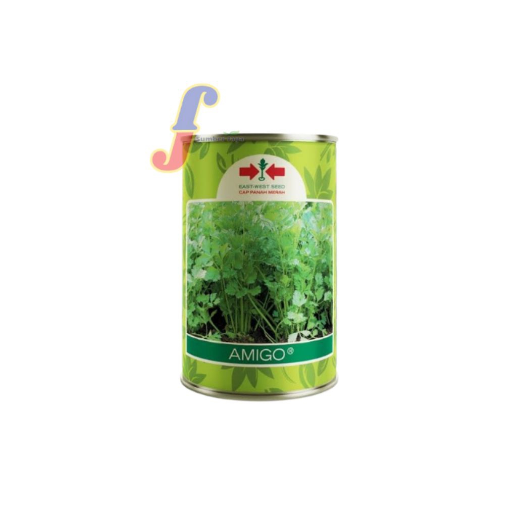 Benih Seledri Amigo 50 Gram