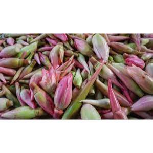 

Bunga Kecombrang perbuah | JBP_Fresh