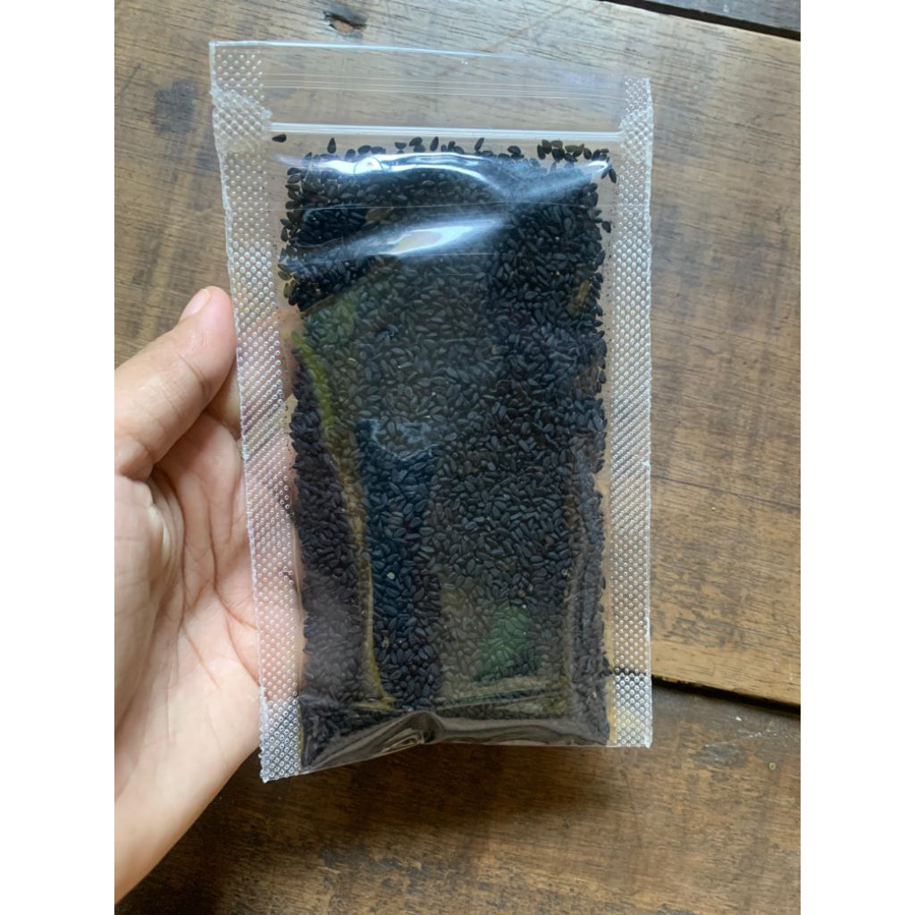 

jintan hitam habbatusauda 50g
