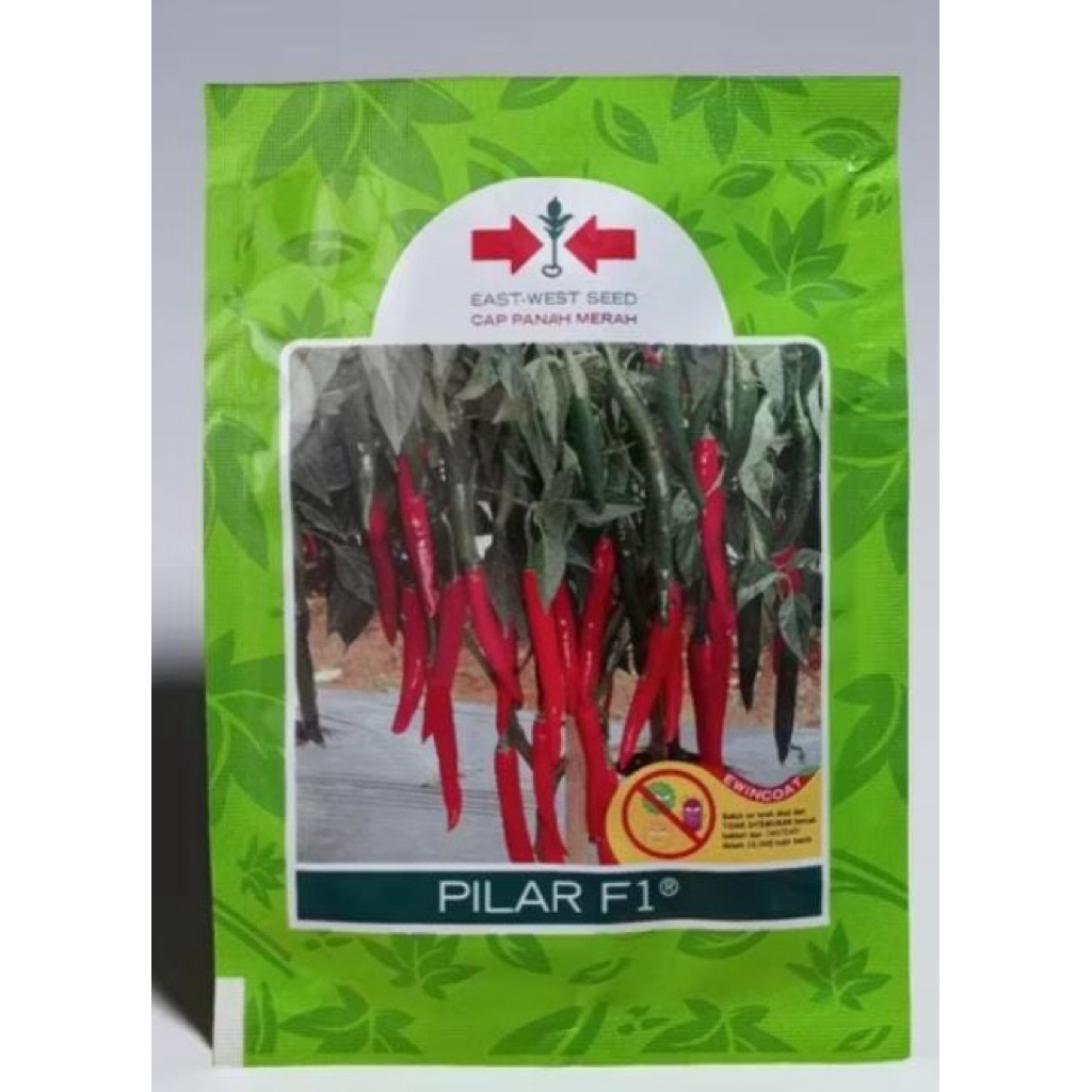 benih cabe besar PILAR F1