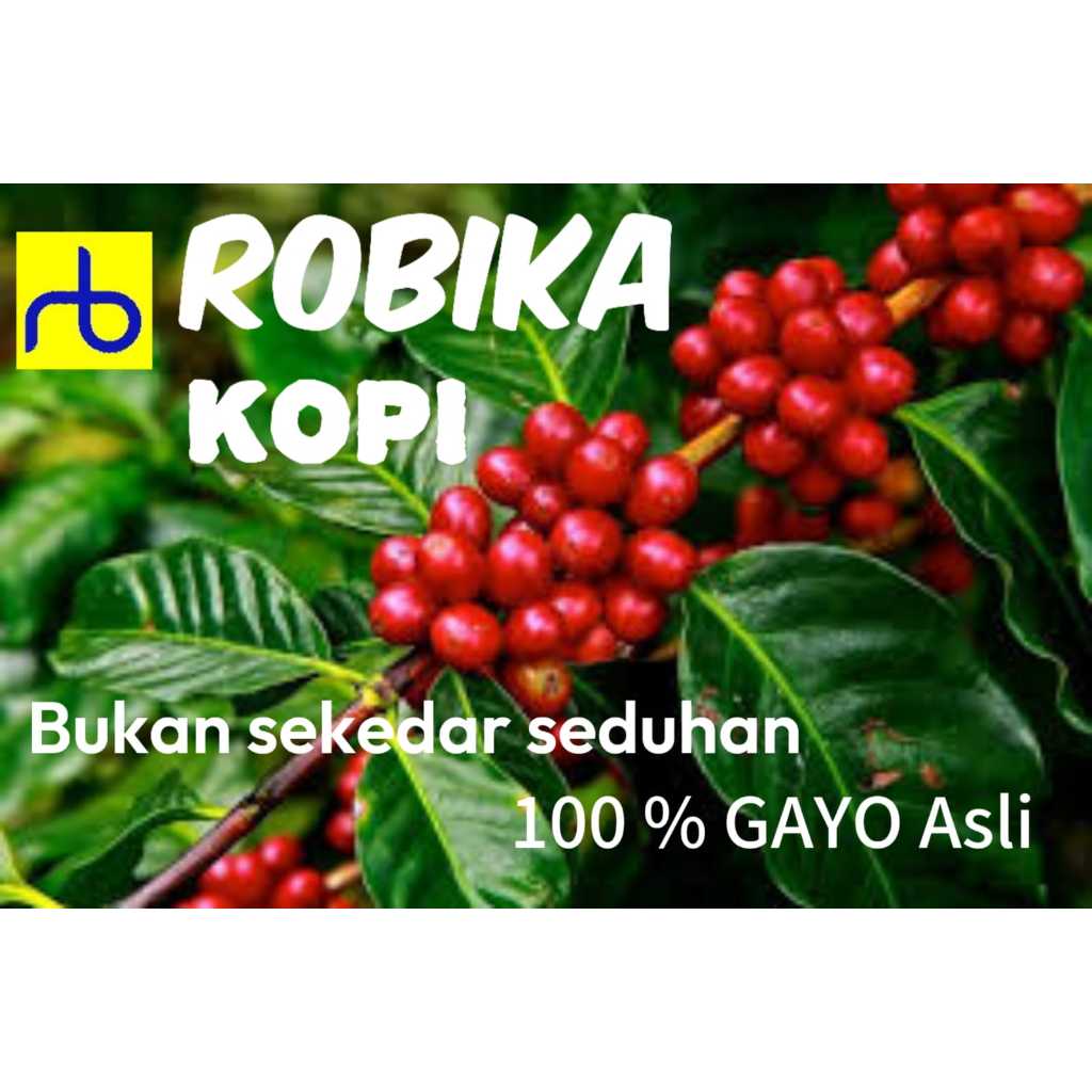 

ROBIKA kopi - Kopi Arabika PEABERRY 100% Gayo Aceh Tengah - Bubuk Kopi 150 gr / 250